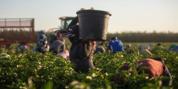 California OSHA inspectors don’t visit worksites even when workers are injured