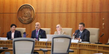 NM mental health reform committee approves project timeline