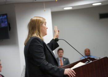 Georgia regulators approve massive power grid expansion to serve data centers