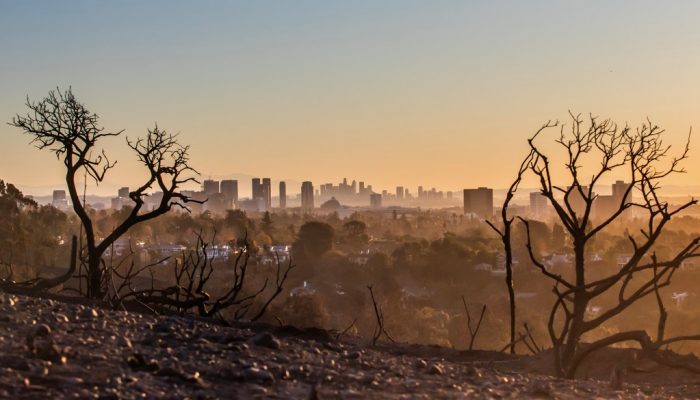 Behind the harrowing evacuation of Will Rogers state park