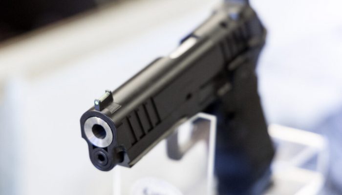 Republicans balk at child fatality report recommending no guns in households with children