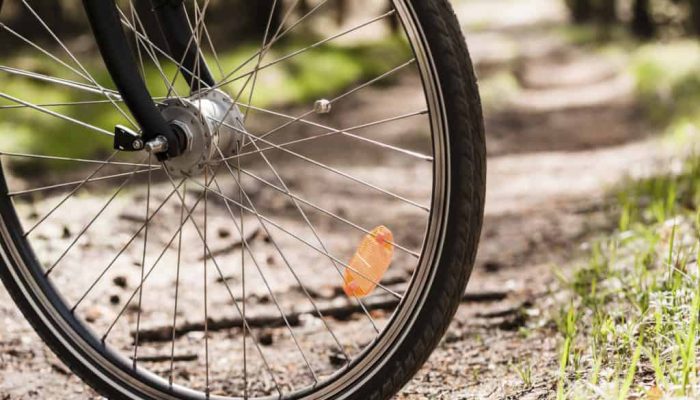 Bike_Tire_Forest-1024x681.jpg