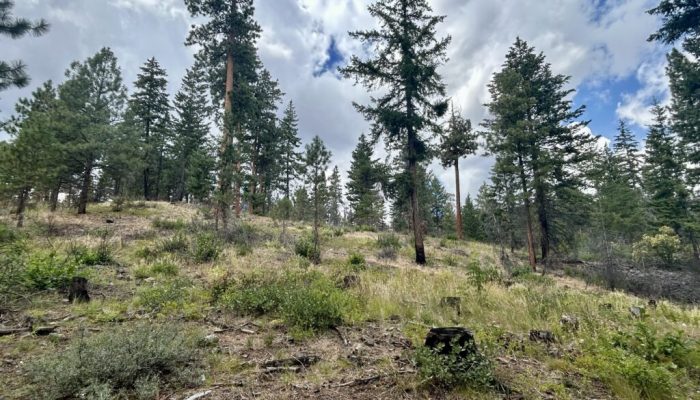 Drop in state funding for WA’s work to prevent severe wildfires is stoking concerns