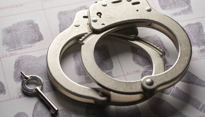 Two Chinese Nationals Arrested for Illegally Shipping AI Microchips to China: DOJ