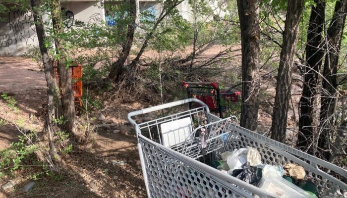 Parenting at the End of Empire: Reflections on Homelessness in Santa Fe