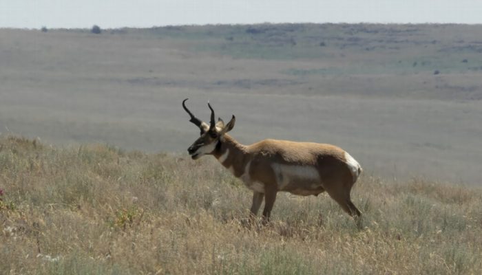 Autonomous in Oregon: A new spin on rural-urban divide